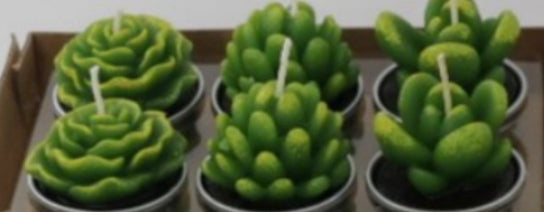 Simulated Succulent Candle Aromatherapy